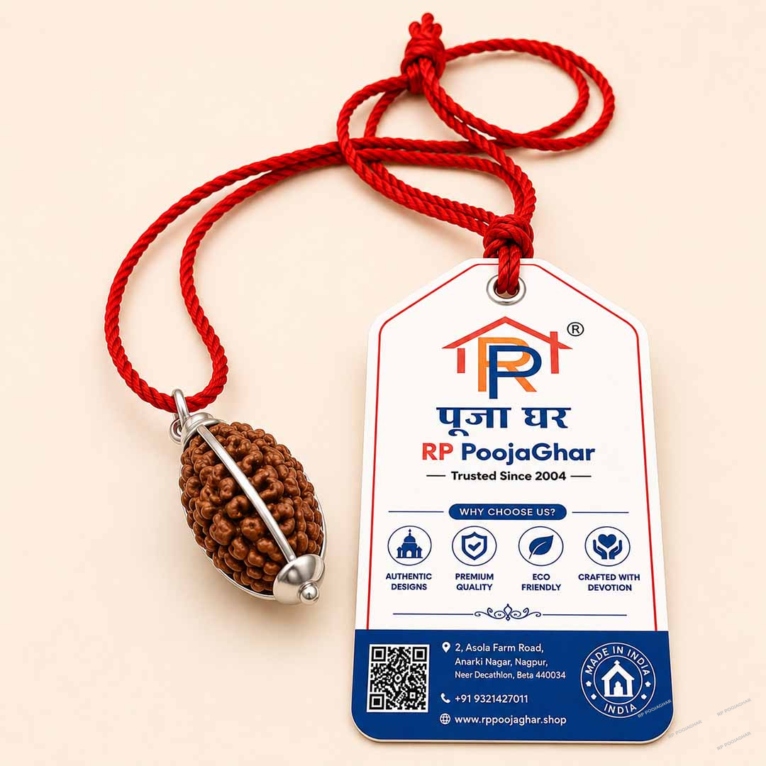 2 Mukhi Rudraksha