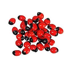 Lal Rakt Chirmi Gunja Ratti Beads 51 Seed for Lakshmi Mahakali Saraswati Puja Pure Red Rosery Pia Seeds