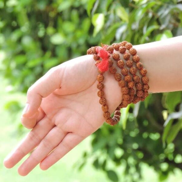 Version 1.0.0 Certified Original Rudraksha Mala (Brown, 9-10mm) with Certificate for Wearing and Japa Mala (5 Mukhi Mala, 108 Beads Mala Rosary Garland) Visit the Petrichor Store