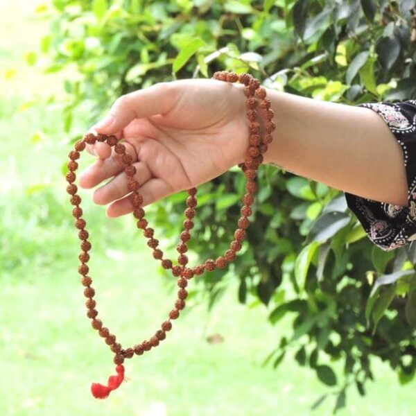 Version 1.0.0 Certified Original Rudraksha Mala (Brown, 9-10mm) with Certificate for Wearing and Japa Mala (5 Mukhi Mala, 108 Beads Mala Rosary Garland) Visit the Petrichor Store