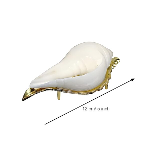 Natural Non Blowing Conch with Brass Stand for Pooja/Paani Wala Shankh with Stand for Pooja/Jol Sankha with Stand for Puja || Non Blowing Shankh||Seashell Sculpture Wall Hanging Art for Home Decor