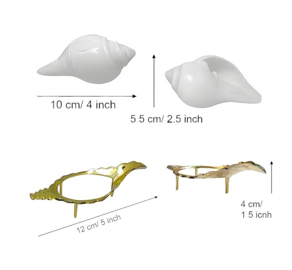 Natural Non Blowing Conch with Brass Stand for Pooja/Paani Wala Shankh with Stand for Pooja/Jol Sankha with Stand for Puja || Non Blowing Shankh||Seashell Sculpture Wall Hanging Art for Home Decor