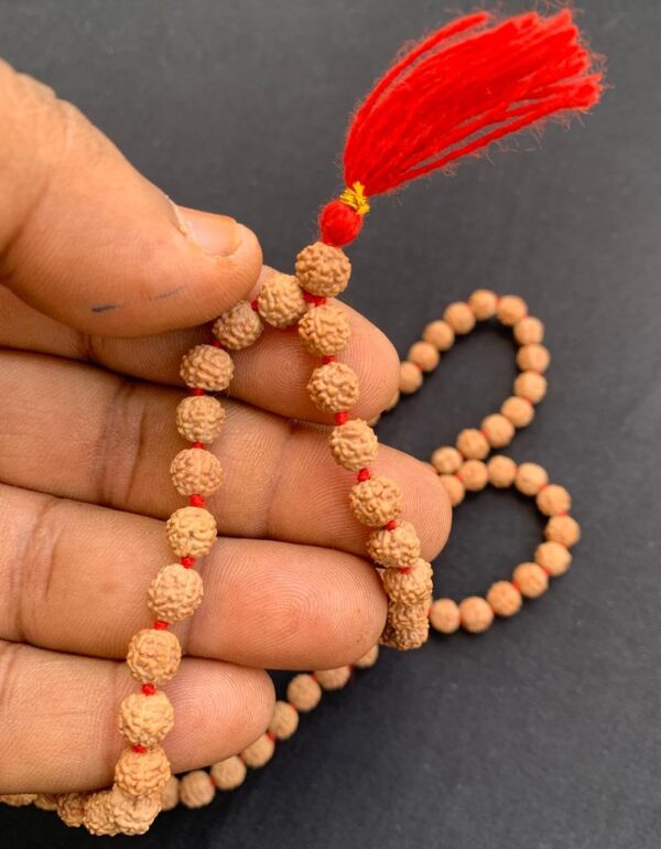 61gMiZPY-rL._SL1280_ Unisex Panchmukhi 108+1 Beads Prayer Rudraksha 7Mm Mala For Japa & Wearing (7Mm)