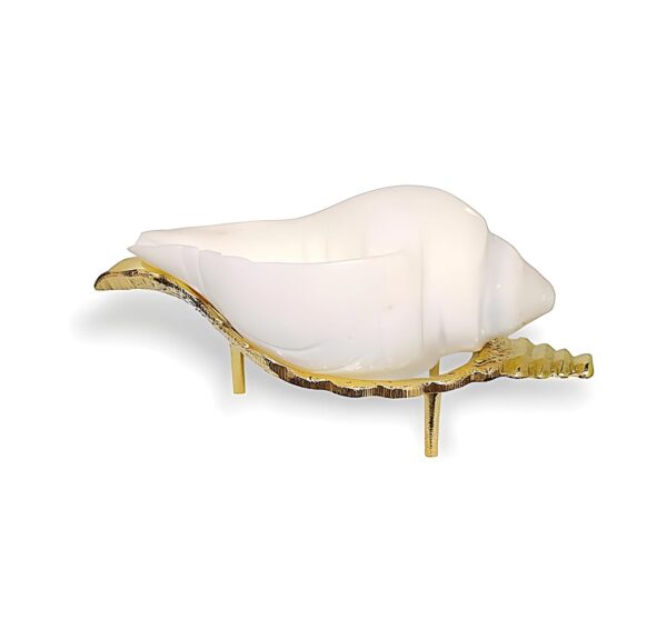 Natural Non Blowing Conch with Brass Stand for Pooja/Paani Wala Shankh with Stand for Pooja/Jol Sankha with Stand for Puja || Non Blowing Shankh||Seashell Sculpture Wall Hanging Art for Home Decor