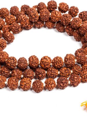 Certified Original Rudraksha Mala (Brown, 9-10mm) with Certificate for Wearing and Japa Mala (5 Mukhi Mala, 108 Beads Mala Rosary Garland) Visit the Petrichor Store