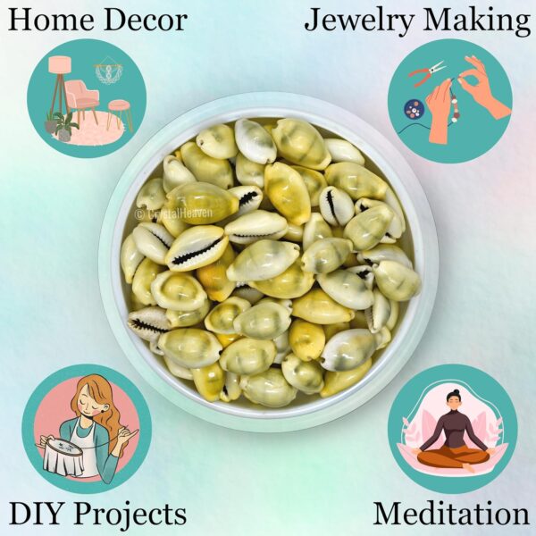 Kodi Shell Pack Of 11 Cowrie Shells - Pili Kodi Original For Diwali Pooja Decoration - Kaudi Shells For Craft (11 Piece)